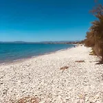 캠프장 Barreira Beachfront Tents 9 *